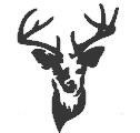 logo for website
